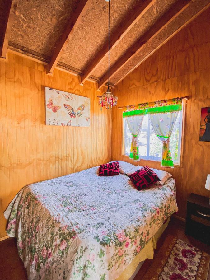 Cabanas Mi Escondite Coyhaique Exteriör bild
